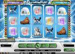 Icy wonders
